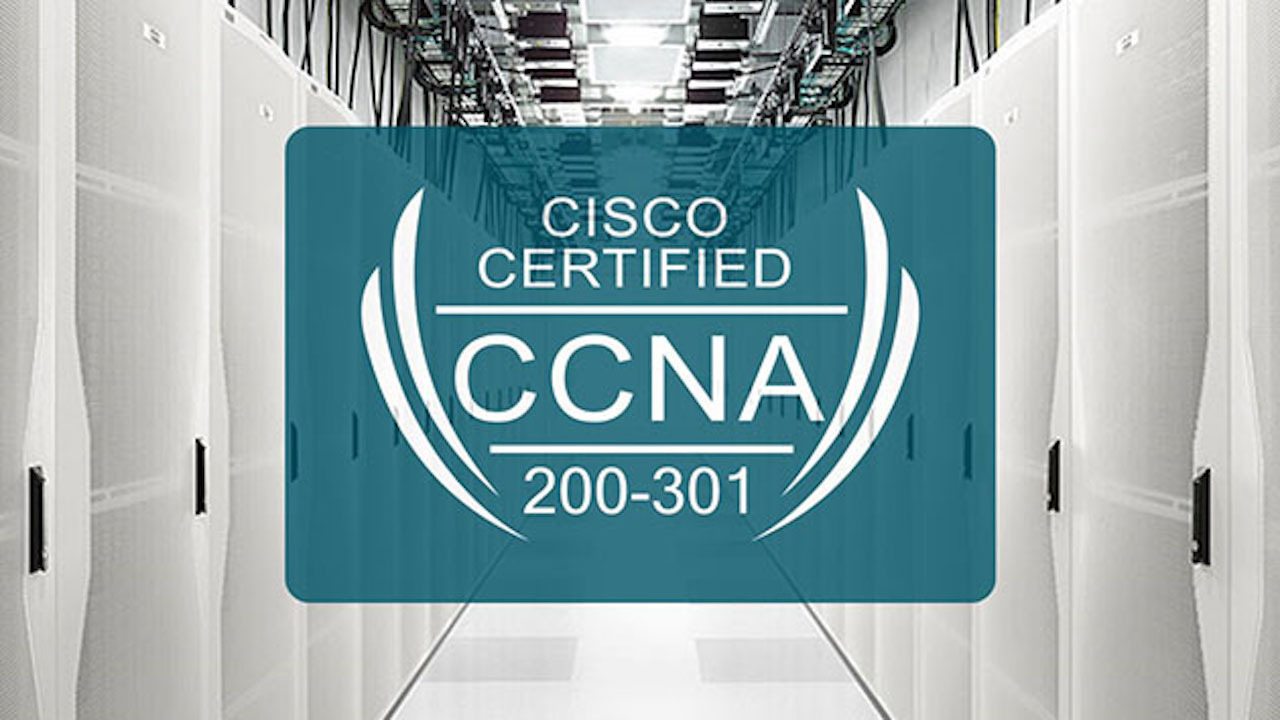CCNA Exam Study Plan 2024: A Step by Step Guide
